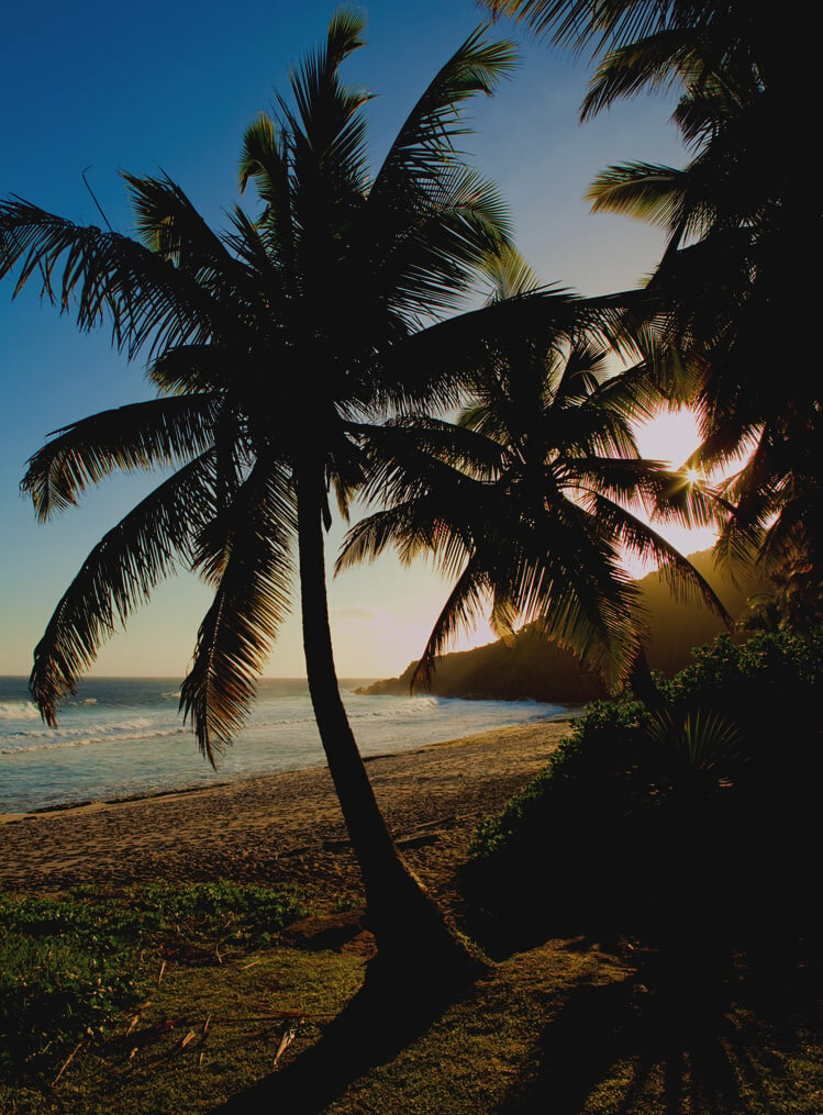 Grande Anse beach - Reunion Island